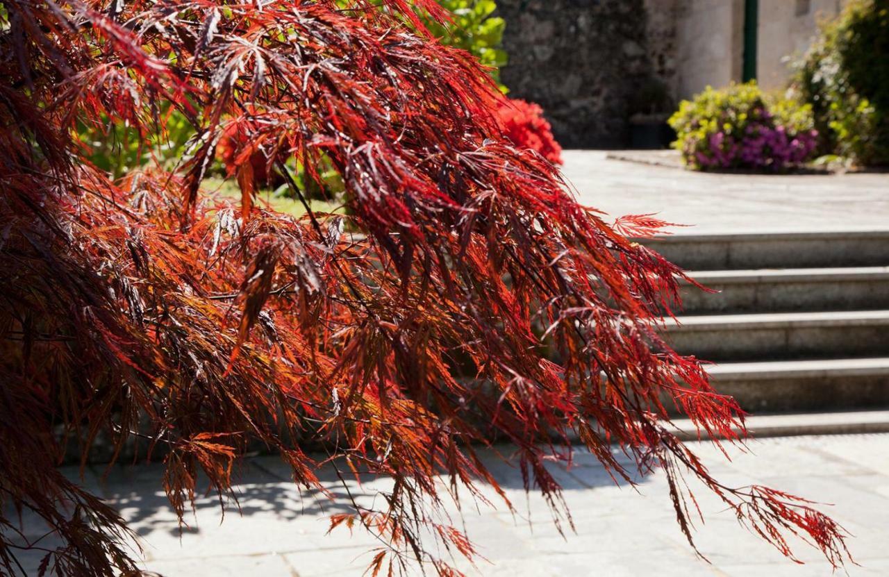 Jardines Pazo A Fabrica Casa de hóspedes Celanova Exterior foto