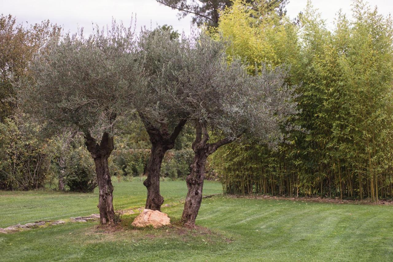 Jardines Pazo A Fabrica Casa de hóspedes Celanova Exterior foto